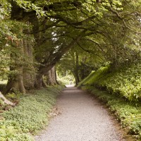 Altamount Garden Pathway